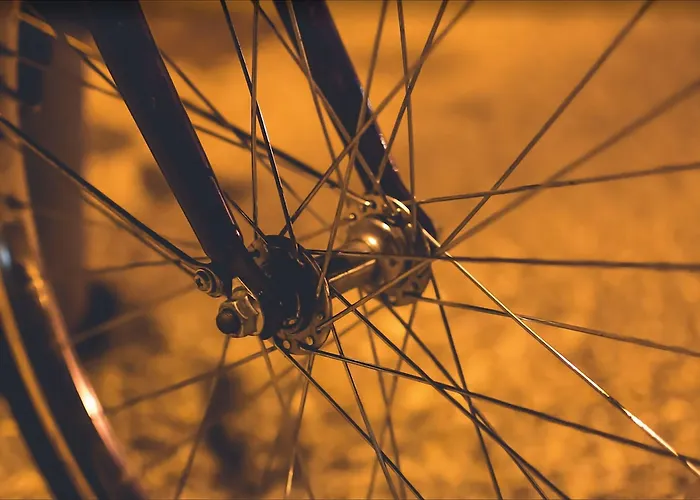 皇宫酒店 4* 比比翁